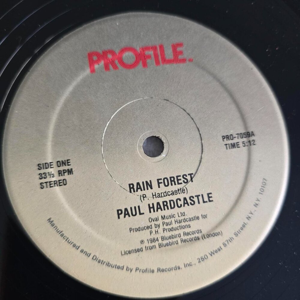 Rain Forest / Sound Chaser x Paul Hardcastle Vinyl Record - Picture 4 of 7